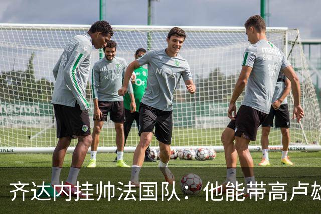 齐达内挂帅法国队：他能带高卢雄鸡重回巅峰吗？八个理由告诉你答案