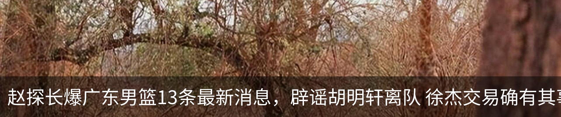 热点资讯