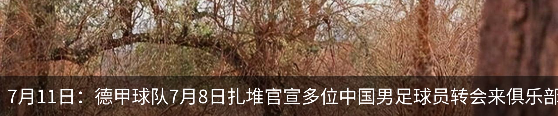 热点资讯
