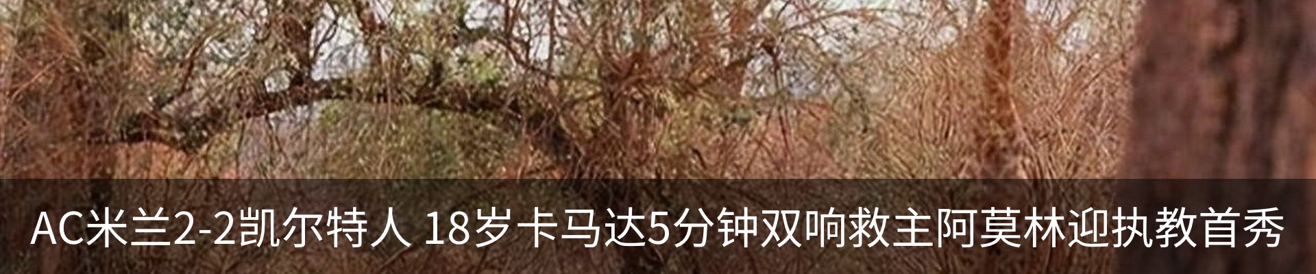热点资讯